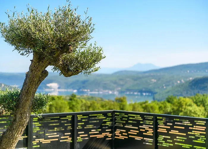 Abba - Meerblick, Luxus Und Komfort An Der Suedostkueste Istriens 빌라 Rakalj